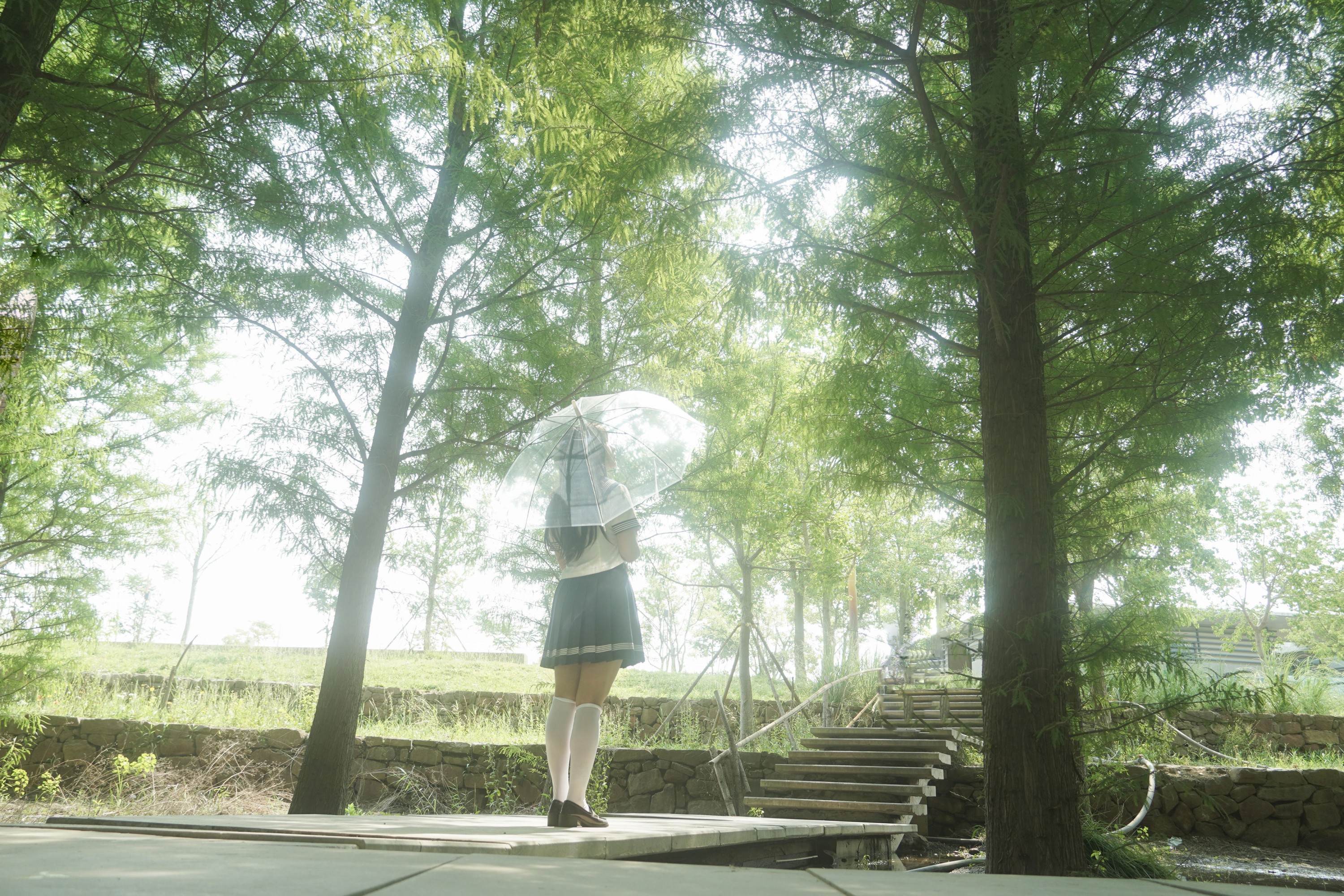 图片[3]-– 《树是另一种形式的海》[11P]-蜜私库