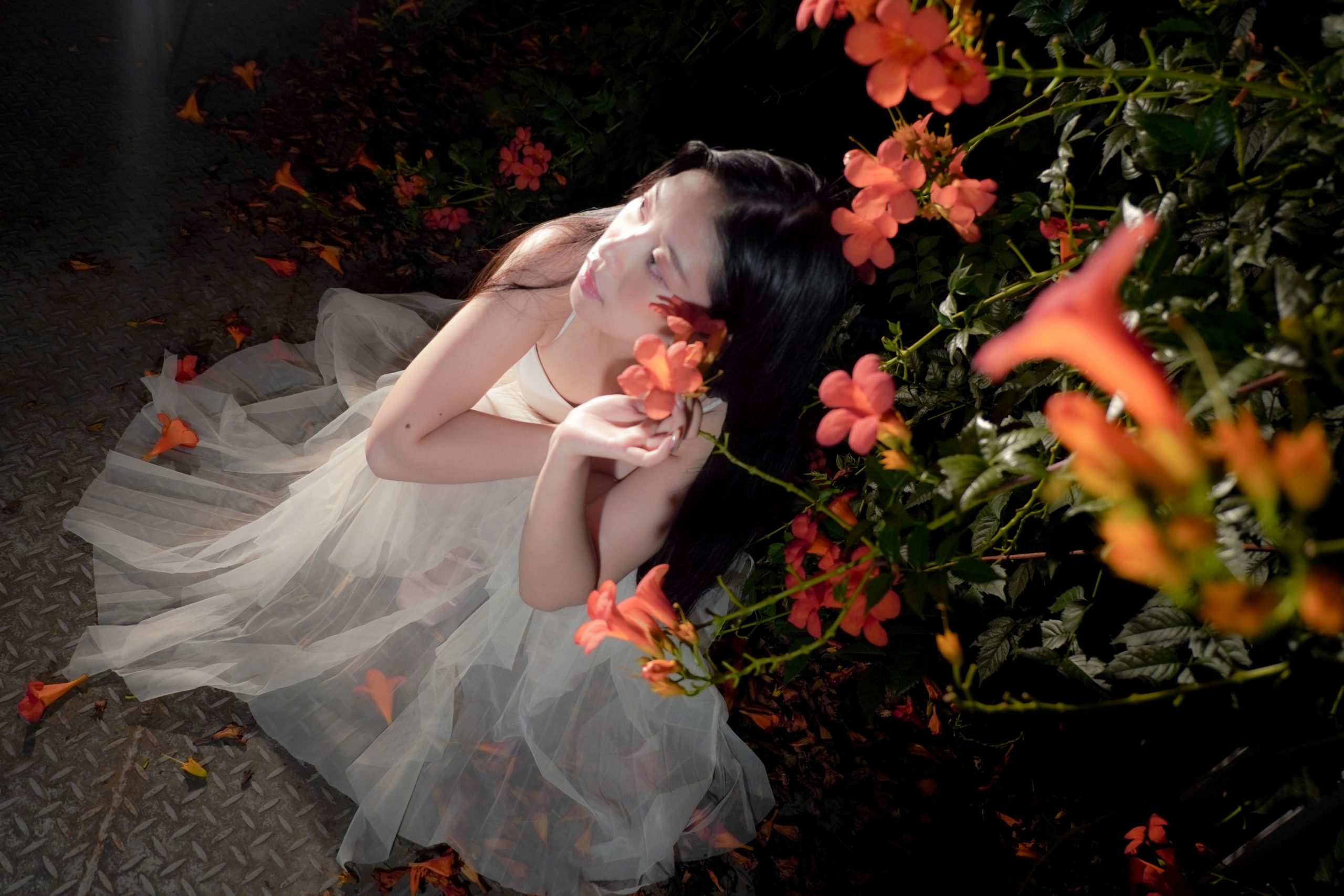 – 《梦里花》[11P]-蜜私库