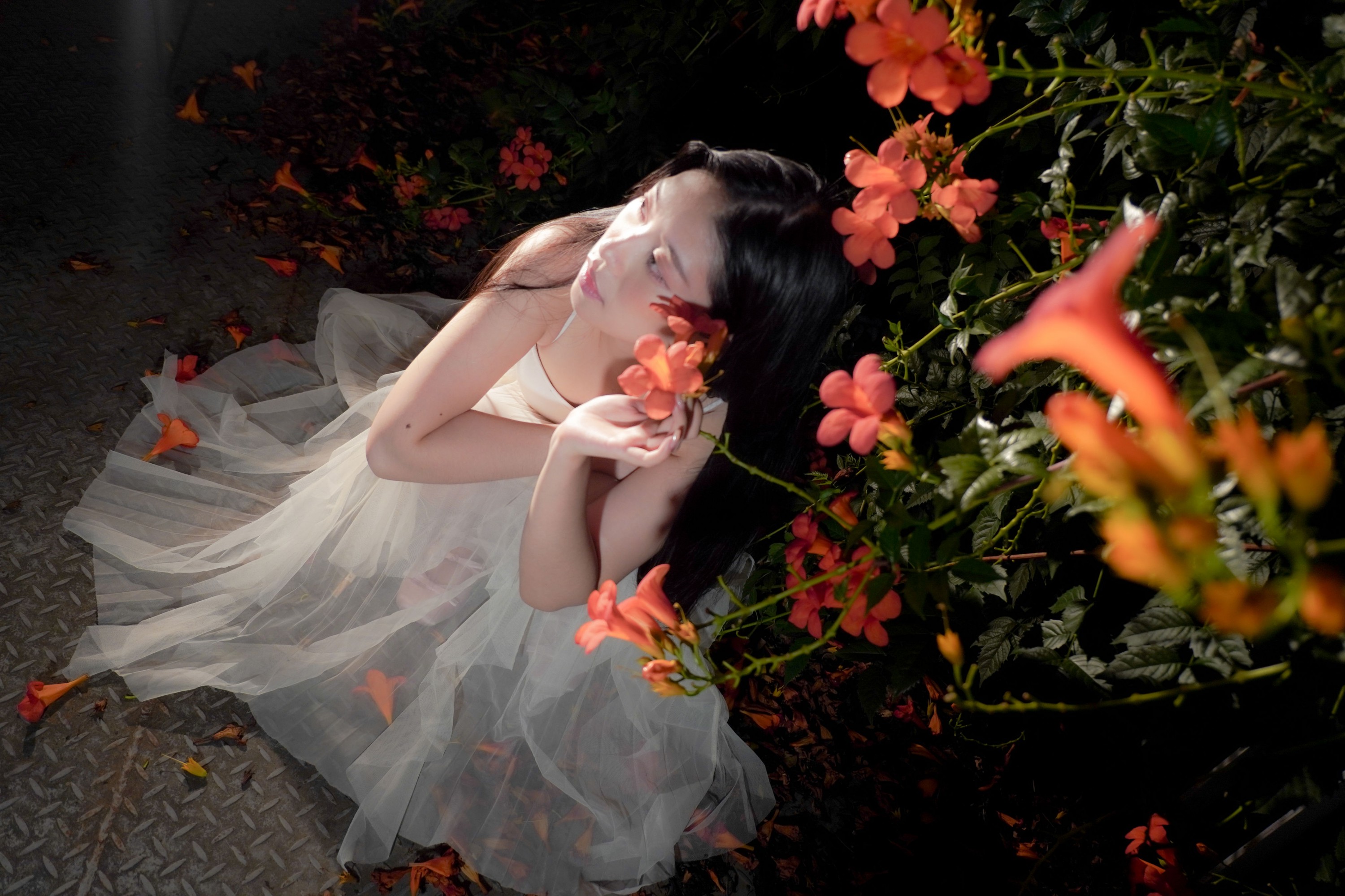 图片[1]-– 《梦里花》[11P]-蜜私库