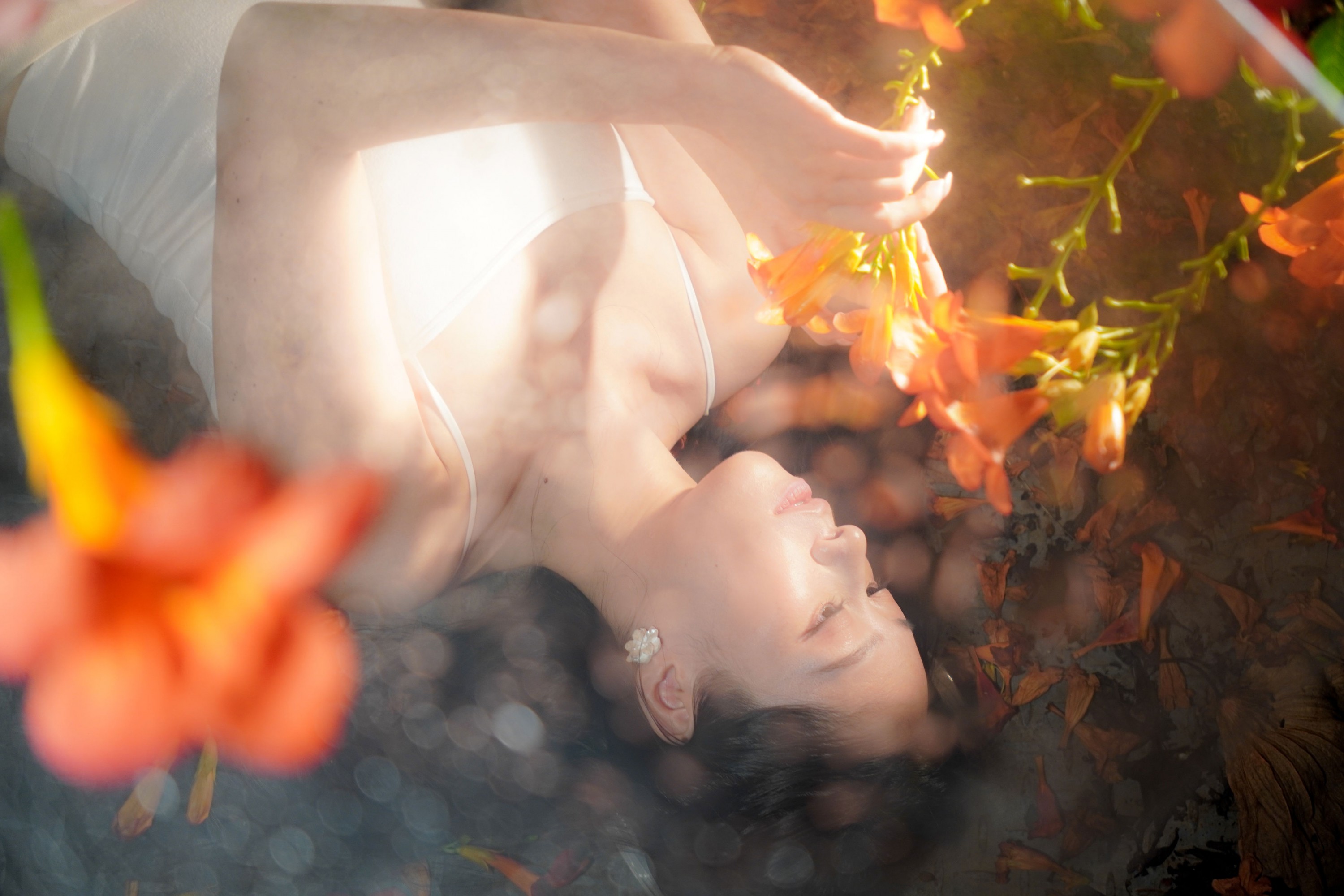 图片[2]-– 《梦里花》[11P]-蜜私库