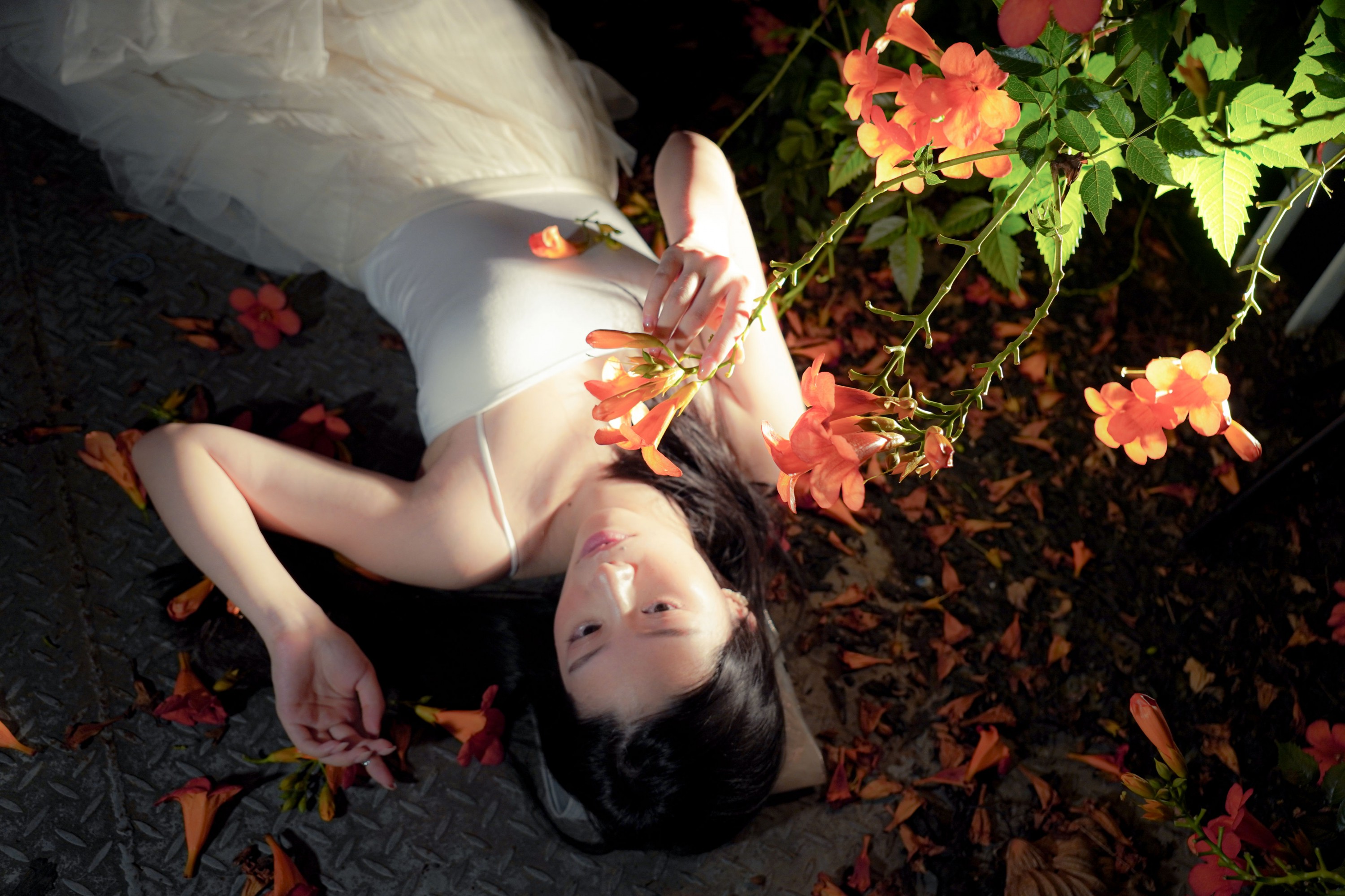 图片[3]-– 《梦里花》[11P]-蜜私库