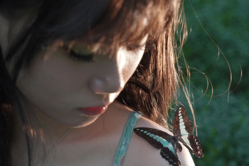 – 《寻找失落的蝴蝶》[15P]-蜜私库