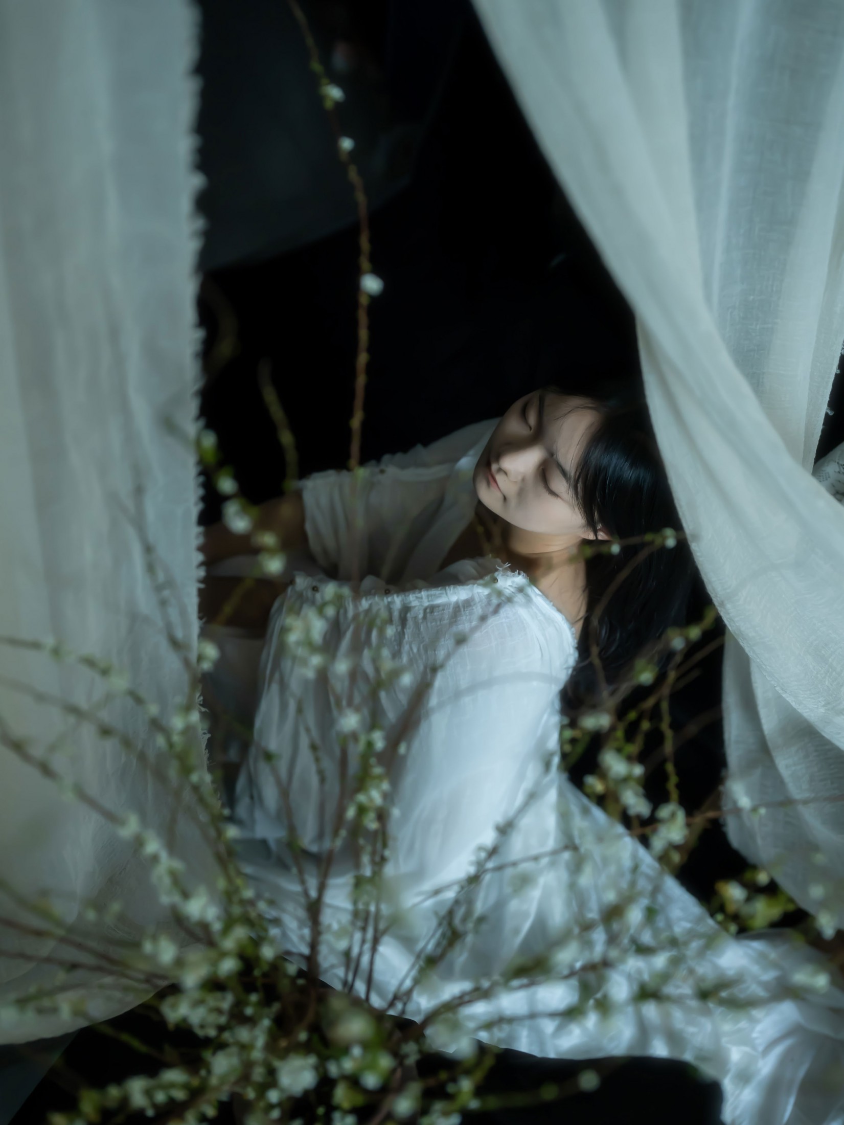 – 《雪柳》[10P]-蜜私库