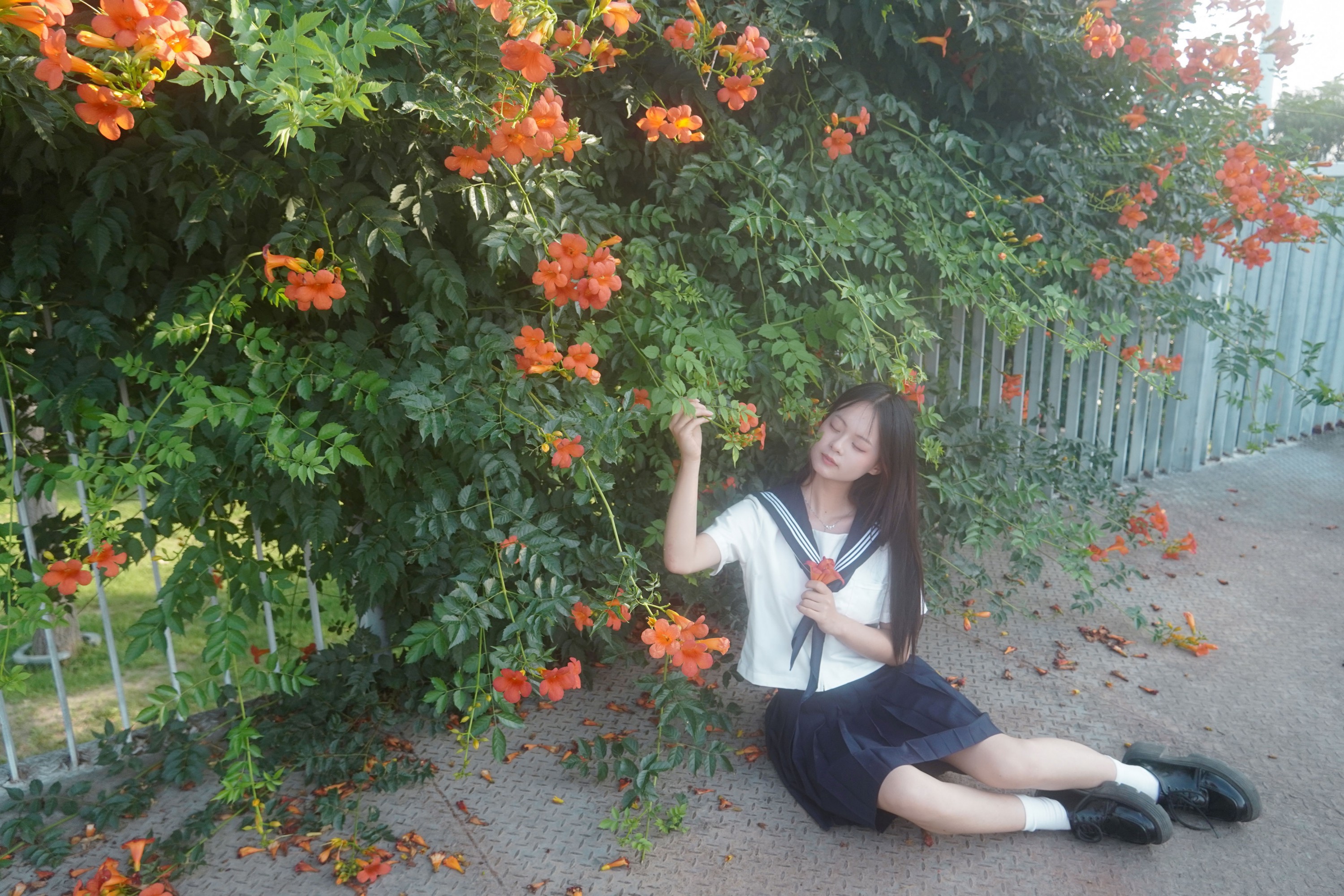 图片[2]-– 《凌霄花开》[12P]-蜜私库