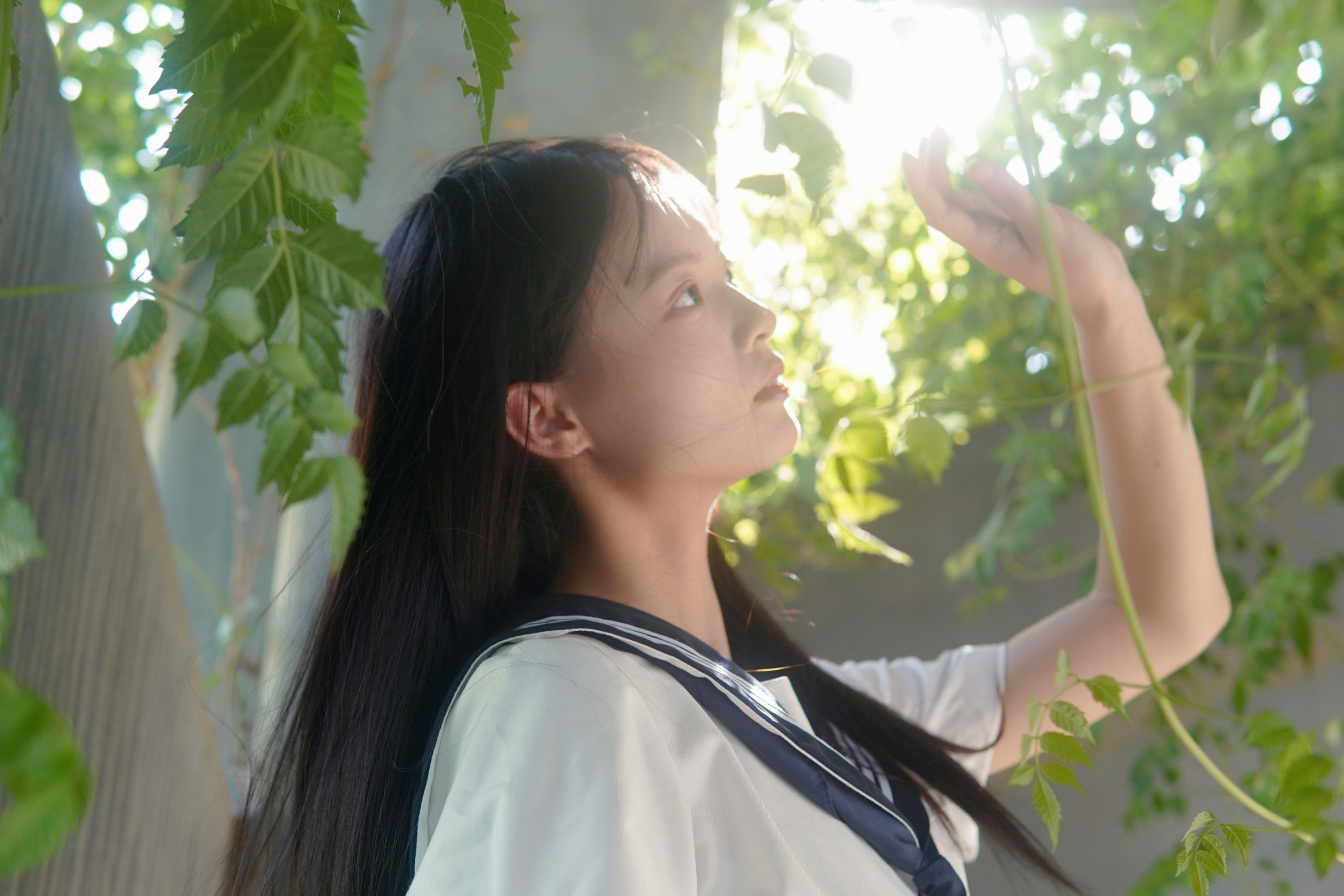 图片[3]-– 《凌霄花开》[12P]-蜜私库