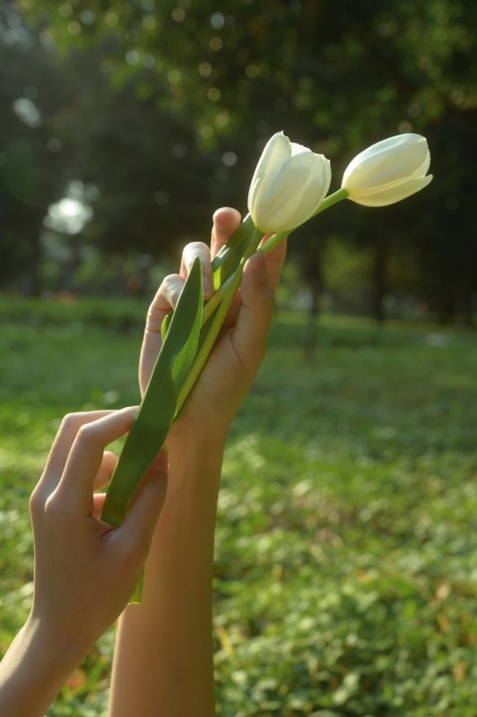 山野小果 – 《光与郁金香》[20P]-蜜私库