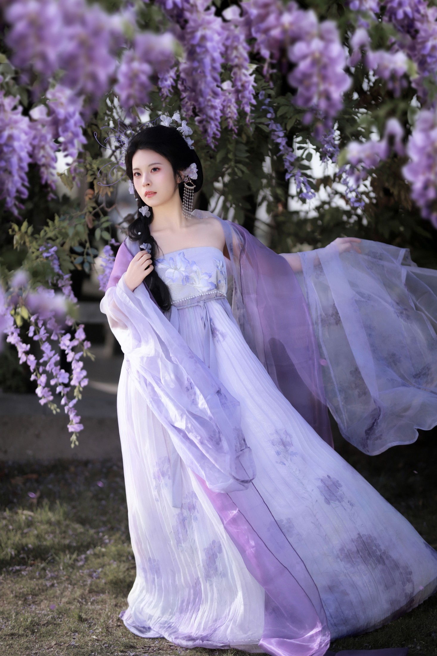 图片[3]-– 《紫藤花开》[11P]-蜜私库