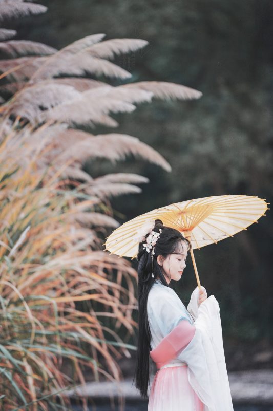 小清 – 《古风人像拍摄》[14P]-蜜私库