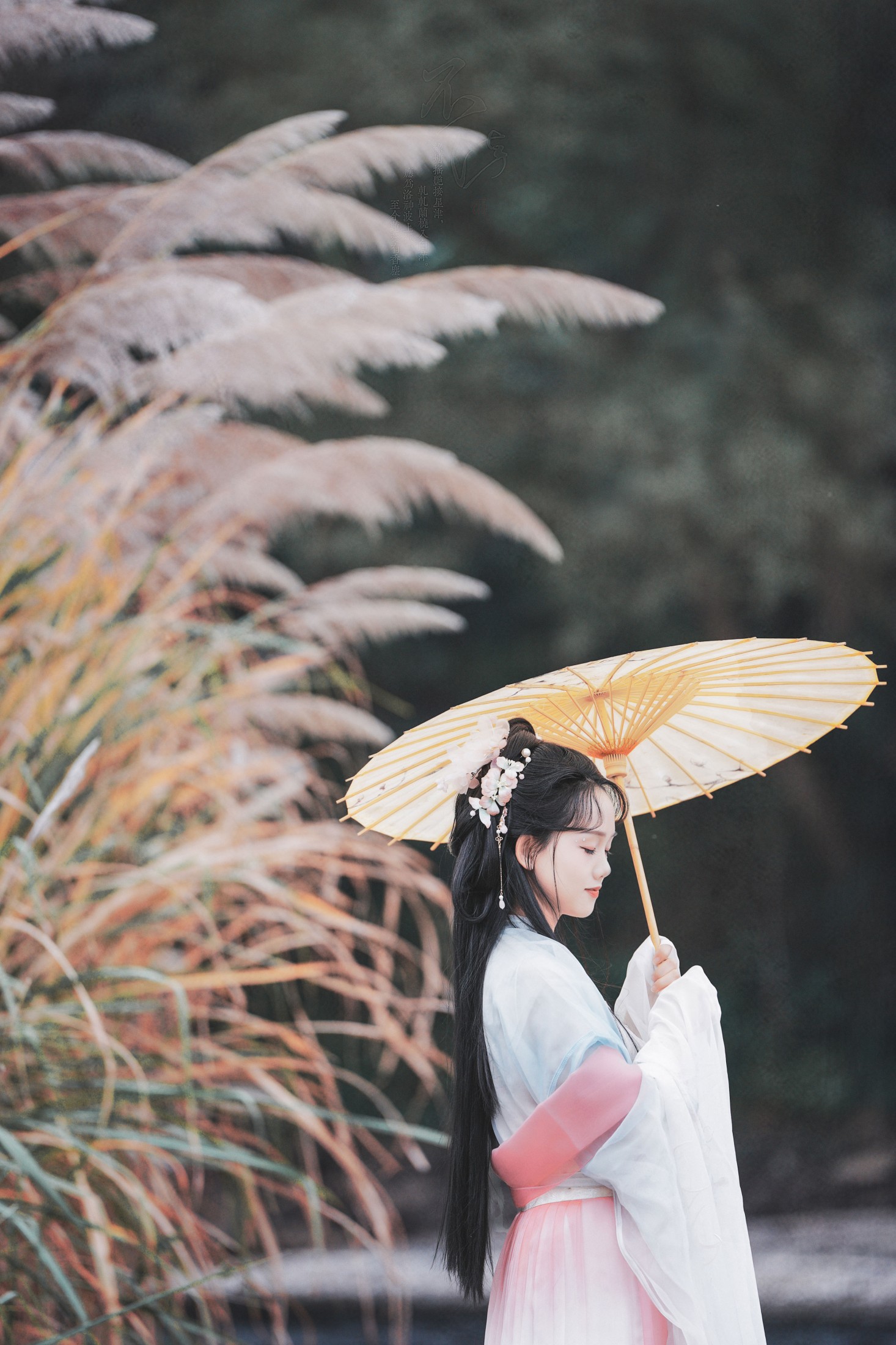 小清 – 《古风人像拍摄》[14P]-蜜私库