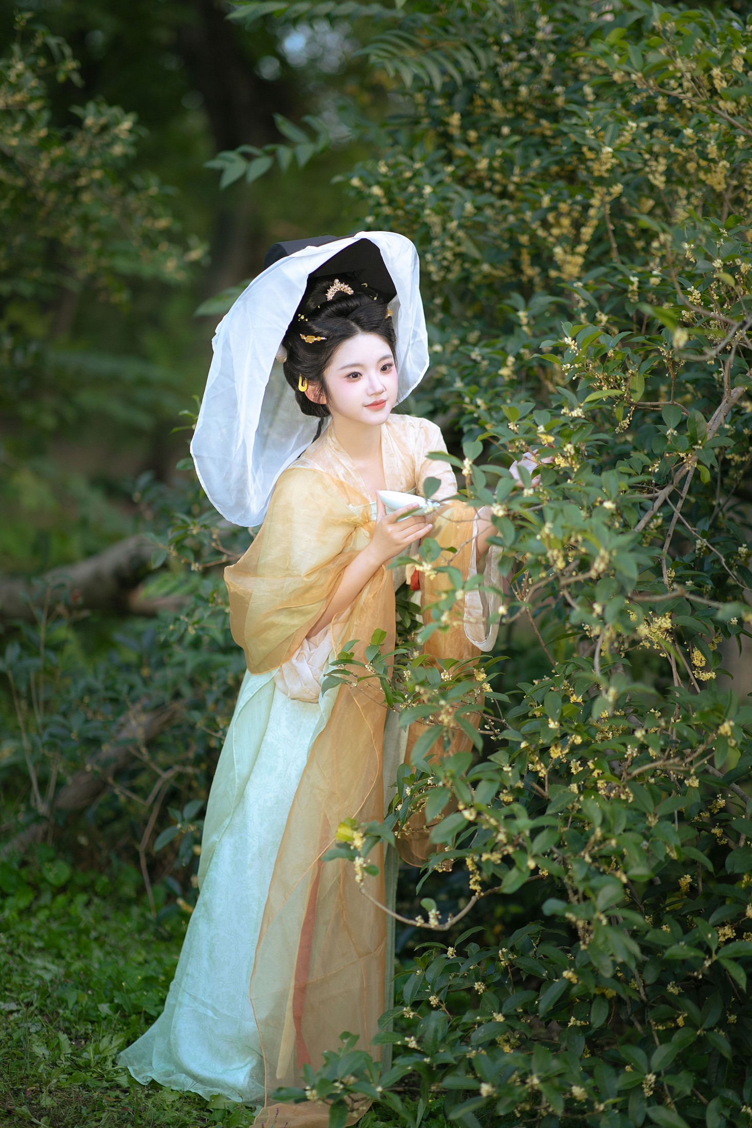 熊猫牙 – 《几度秋意浓，最是桂花香。》[12P]-蜜私库