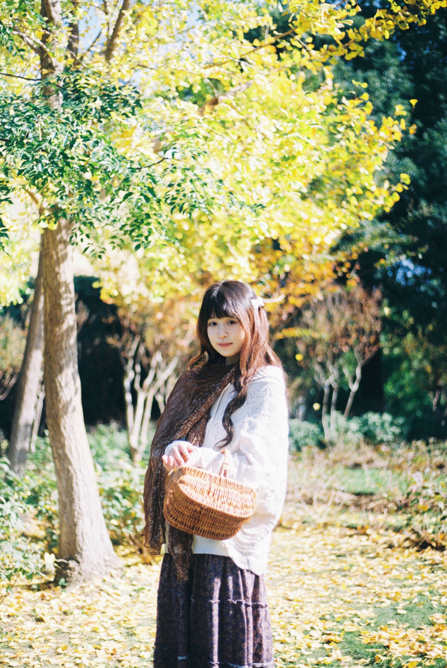 图片[3]-《一场盛大的秋天》[9P]-蜜私库